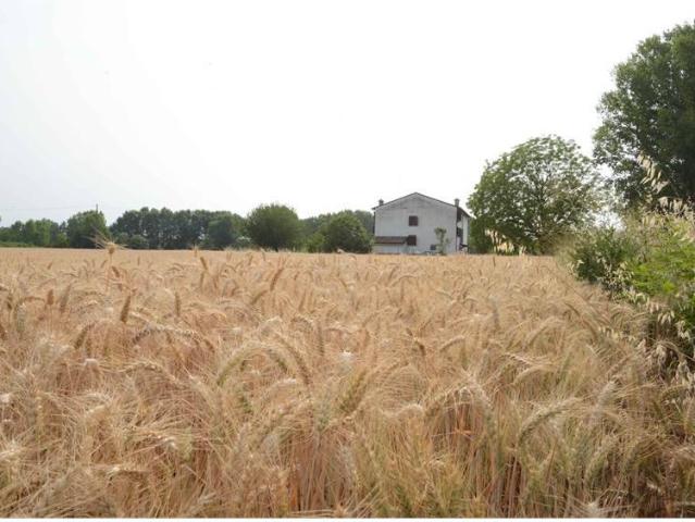 Terreno in vendita a Bassa Reggiana, Re