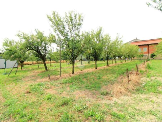 Terreno in vendita a Bassa Reggiana, Re