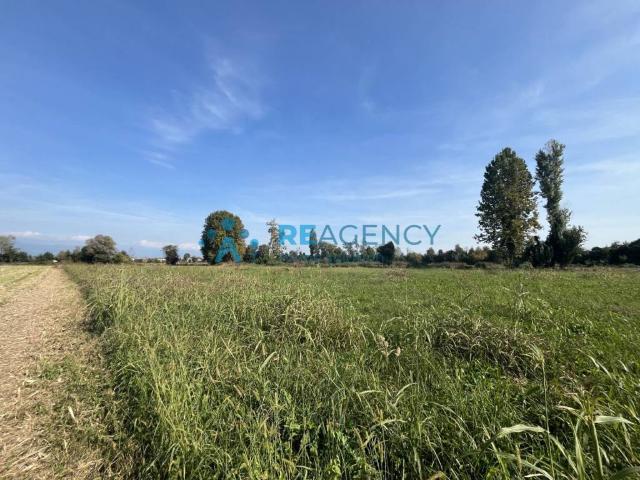 Terreno in vendita a Bressanvido, Veneto