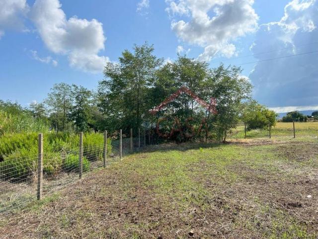 Terreno in vendita a Calabria, Vibo Valentia
