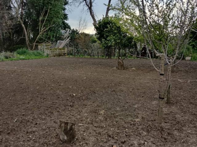 Terreno in vendita a Calabria, Vibo Valentia