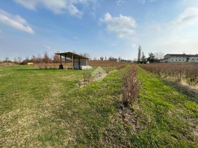 Terreno in vendita a Piemonte, Torino