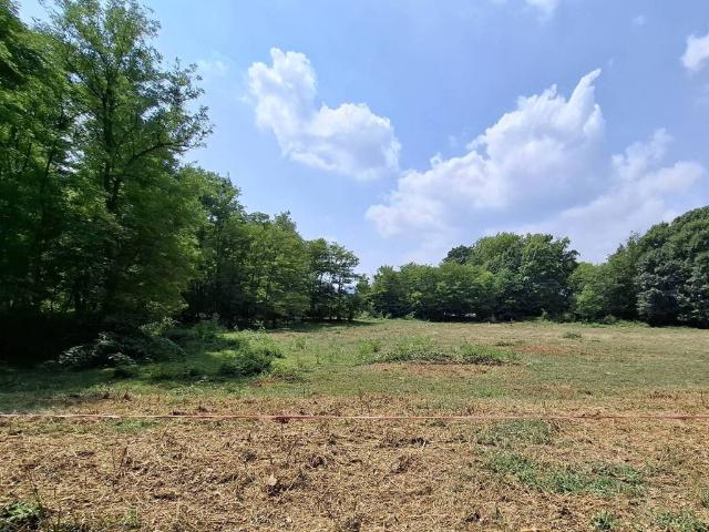 Terreno in vendita a Piemonte, Novara
