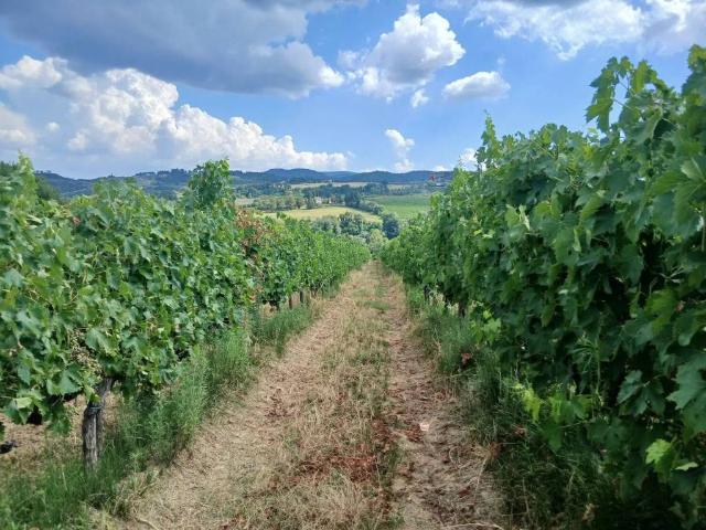 Terreno in vendita a Piemonte, Alessandria