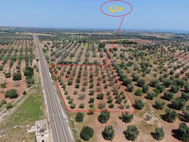 Terreno in vendita a Puglia, Brindisi
