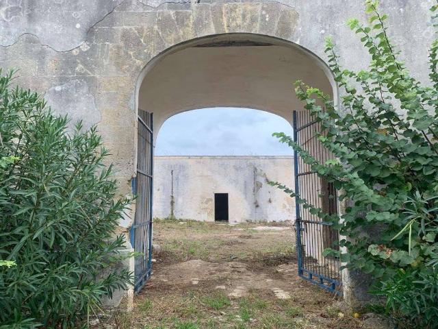 Terreno in vendita a Perrino, Puglia