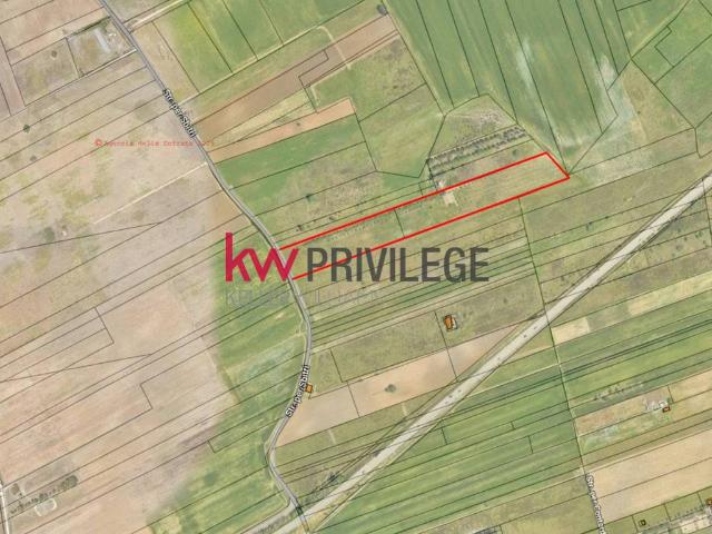 Terreno in vendita a Mitrano, Puglia