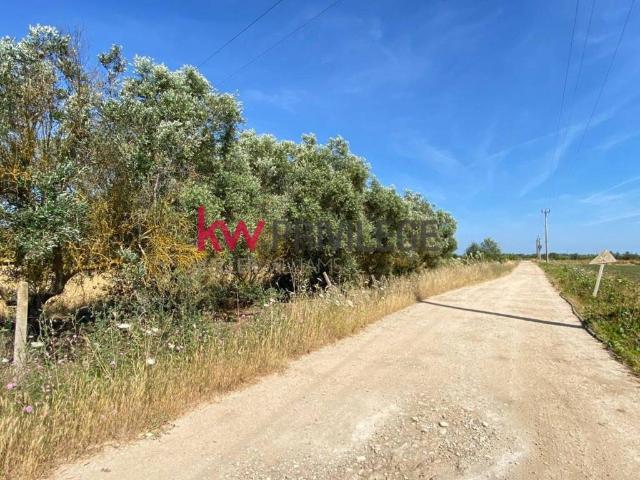 Terreno in vendita a Puglia, Brindisi