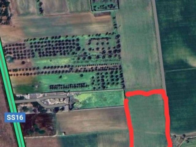 Terreno in vendita a Puglia, Brindisi
