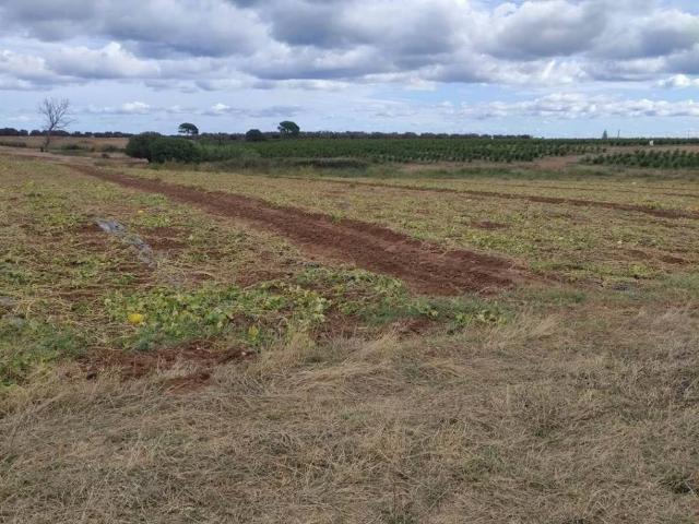 Terreno in vendita a Puglia, Brindisi