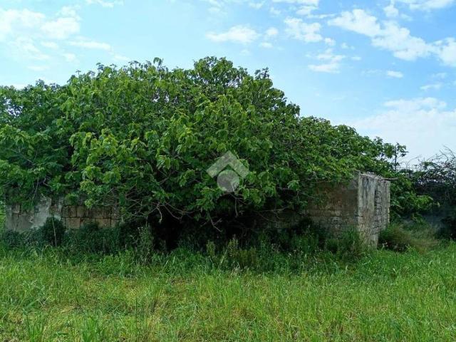 Terreno in vendita a Casale, Puglia