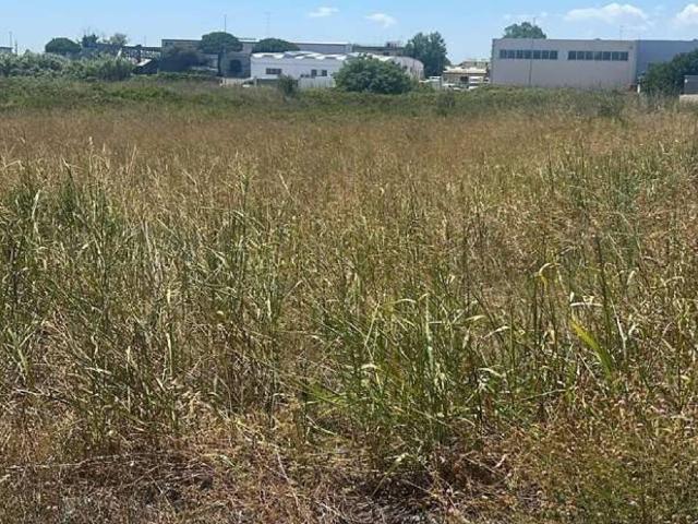 Terreno in vendita a Perrino, Puglia