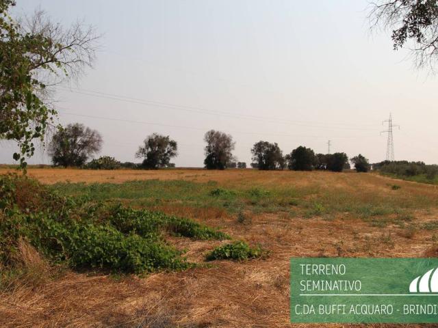 Terreno in vendita a Puglia, Brindisi