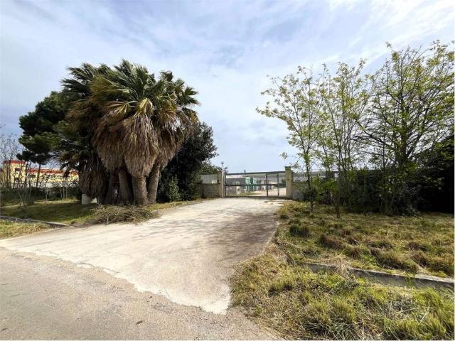 Terreno in vendita a Puglia, Brindisi