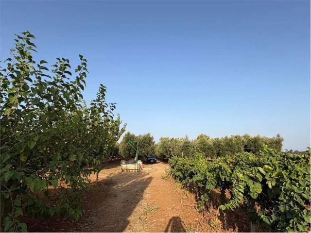 Terreno in vendita a Contrada Montenegro, Puglia
