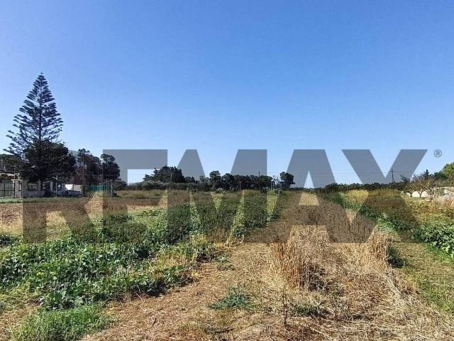 Terreno in vendita a Puglia, Brindisi