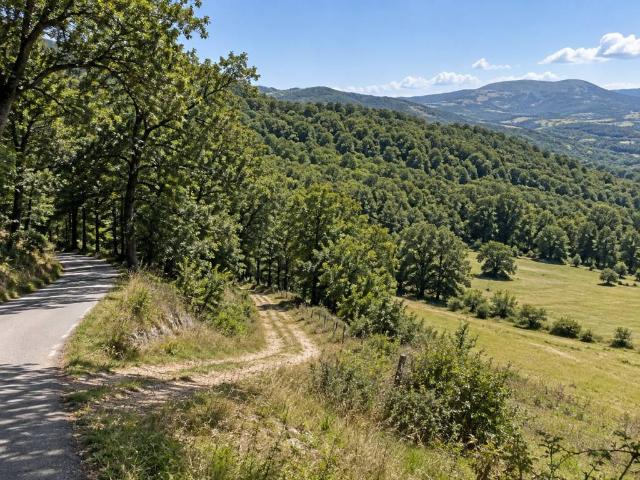 Terreno in vendita a Brindisi Montagna, Potenza