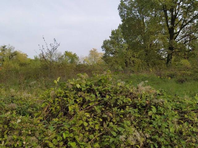 Terreno in vendita a Faell, Briosco