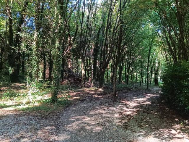 Terreno in vendita a Faell, Briosco