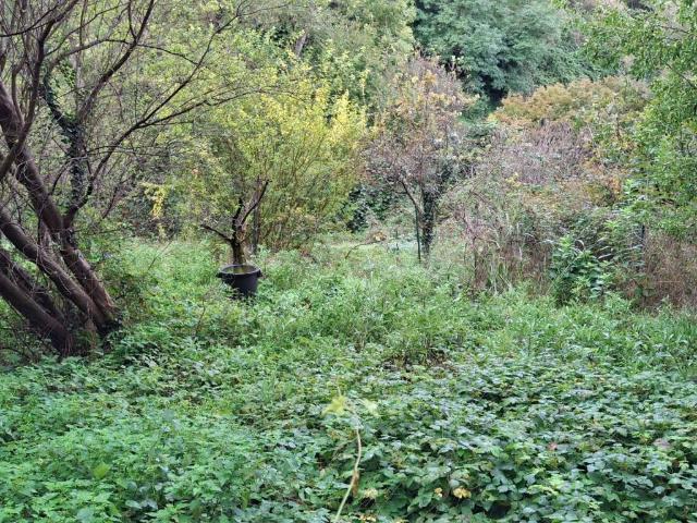Terreno in vendita a Mulino di Peregallo, Briosco