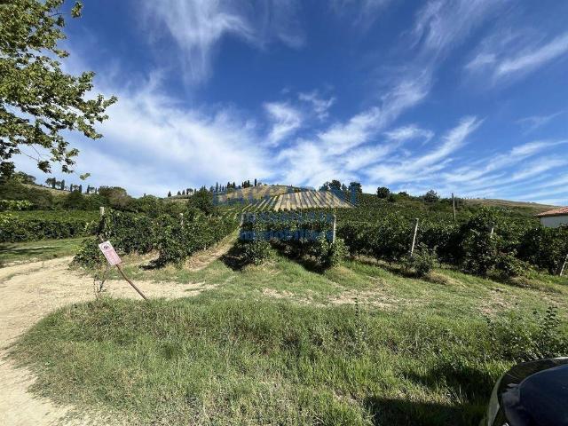 Terreno in vendita a Unione della Romagna Faentina, Brisighella