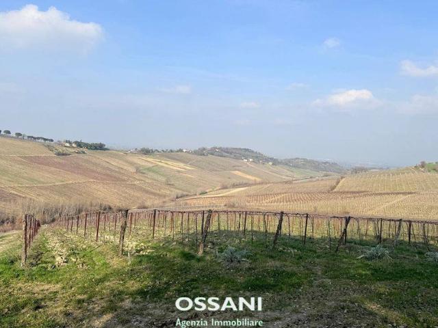 Terreno in vendita a Unione della Romagna Faentina, Brisighella