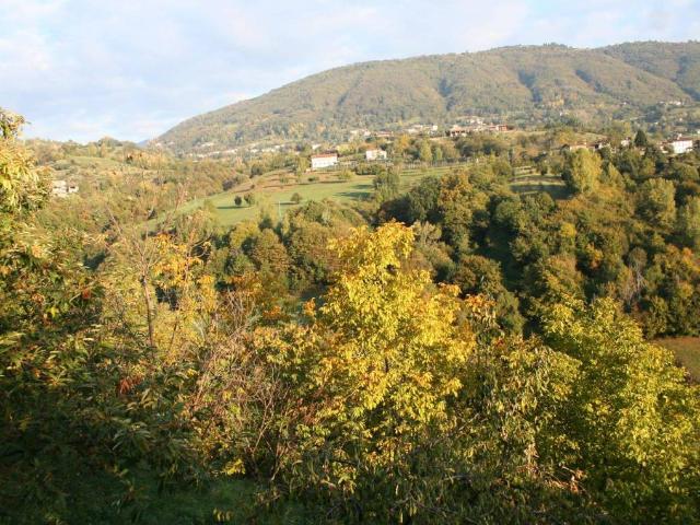 Terreno in vendita a Brogliano, Veneto