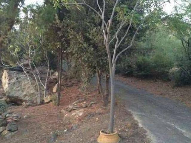 Terreno in vendita a Bronte, Sicilia