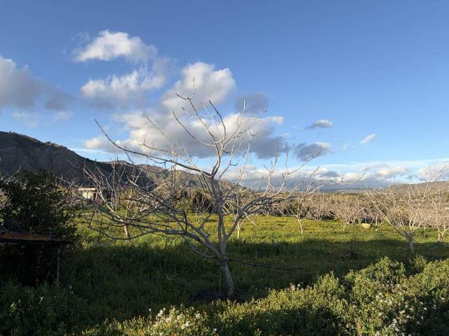 Terreno in vendita a Bronte, Sicilia