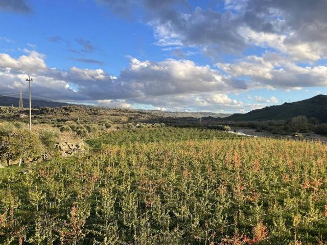 Terreno in vendita a Bronte, Sicilia