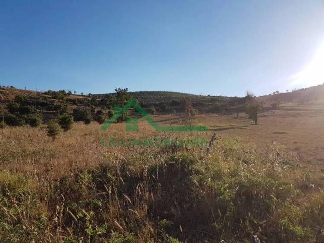 Terreno in vendita a Bronte, Sicilia