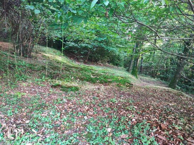 Terreno in vendita a Brovello-Carpugnino, Piemonte