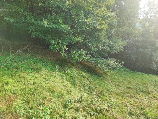 Terreno in vendita a Brovello-Carpugnino, Piemonte