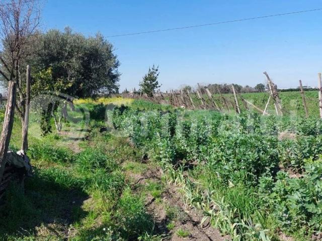 Terreno in vendita a Brusciano, Campania