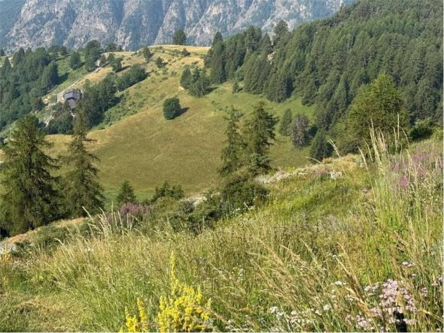 Terreno in vendita a Cassot, Brusson