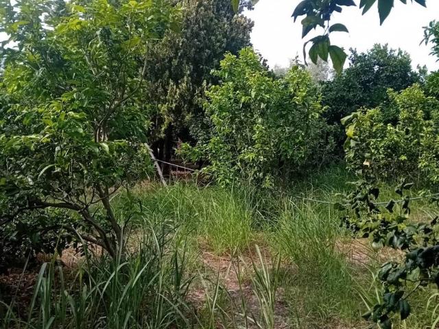 Terreno in vendita a Calabria, Reggio Calabria
