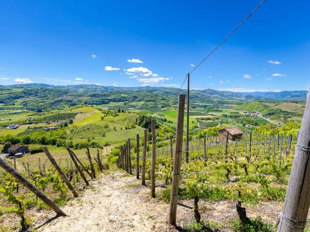 Terreno in vendita a Bubbio, Asti