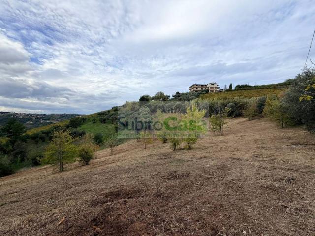Terreno in vendita a Bucchianico, Abruzzo