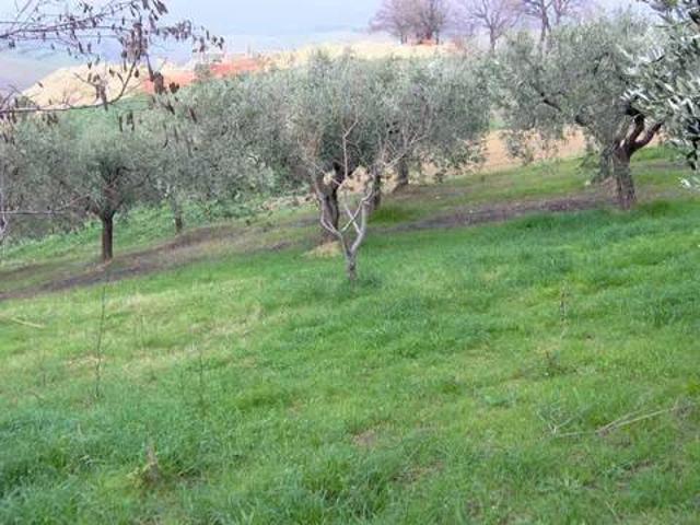 Terreno in vendita a Casalincontrada, Abruzzo