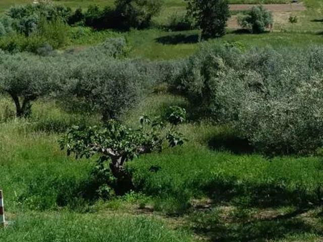Terreno in vendita a Bucchianico, Abruzzo