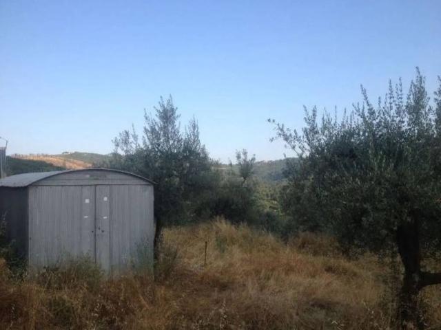 Terreno in vendita a Bucine, Toscana