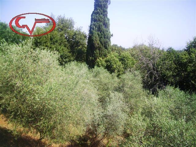 Terreno in vendita a Bucine, Toscana