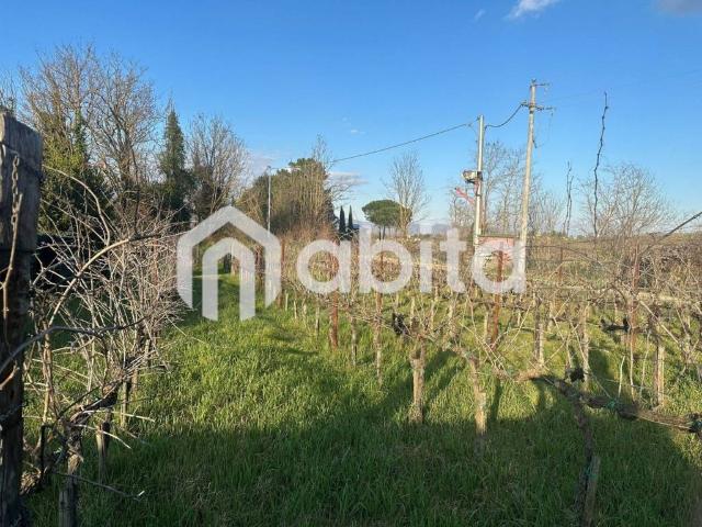 Terreno in vendita a Bucine, Toscana