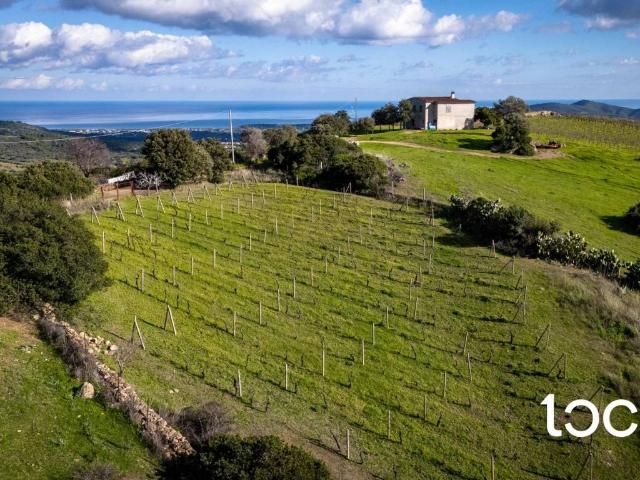 Terreno in vendita a Agrustos, Sardigna/Sardegna