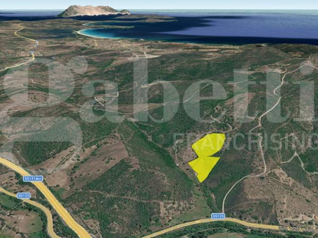 Terreno in vendita a Agrustos, Sardigna/Sardegna