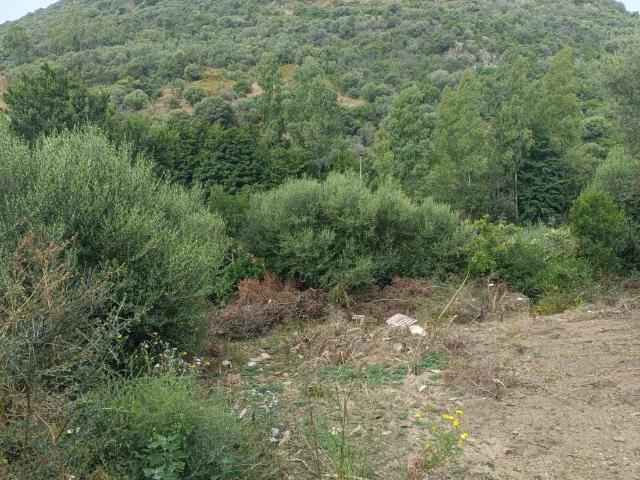 Terreno in vendita a Agrustos, Sardigna/Sardegna