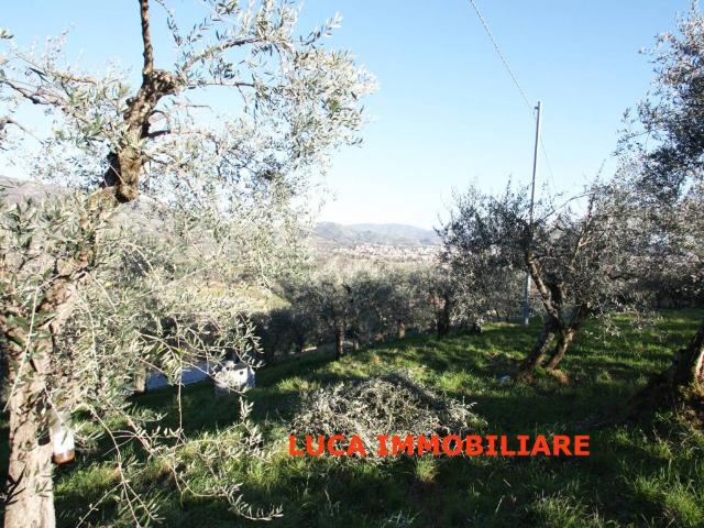 Terreno in vendita a Buggiano Castello, Buggiano