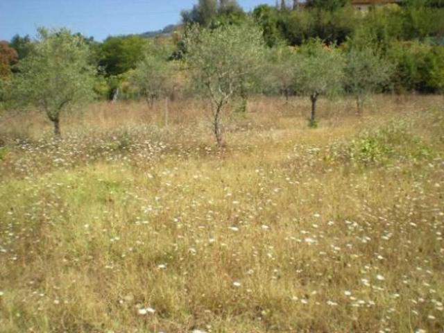Terreno in vendita a Buggiano, Stignano