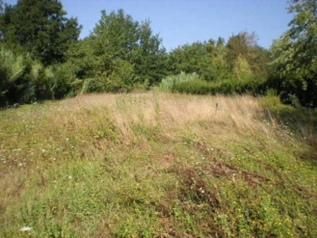 Terreno in vendita a Stignano, Buggiano