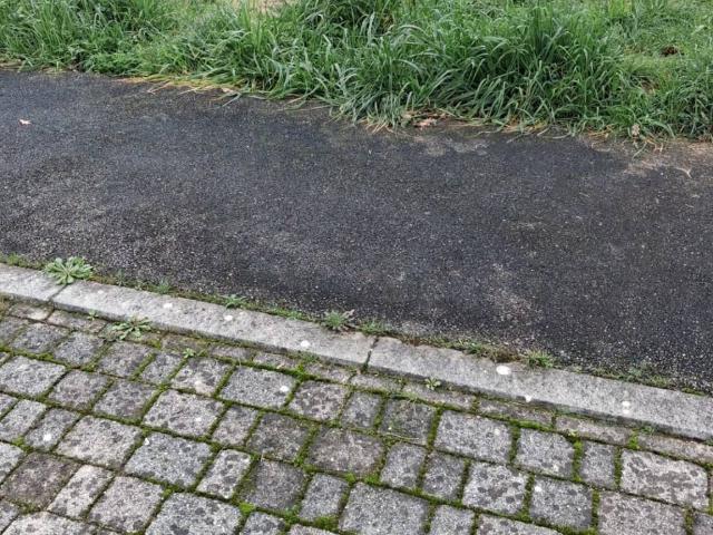 Terreno in vendita a Santa Maria, Buggiano